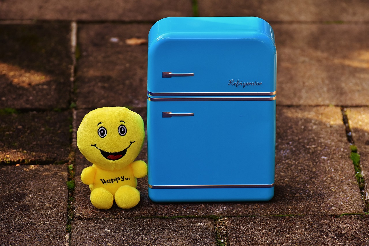 Magnets et Souvenirs Des Histoires Touchantes